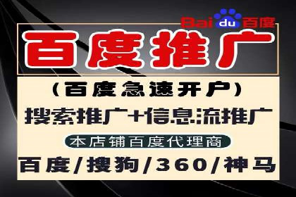 某品牌通过SEM优化实现品牌增长的故事