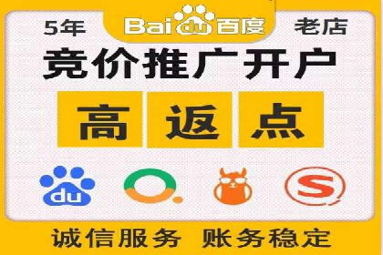 竞价广告的投放策略与网络推广的实践案例